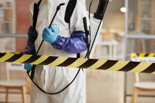 Professional Sewage Cleanup technician working in Mills River, NC